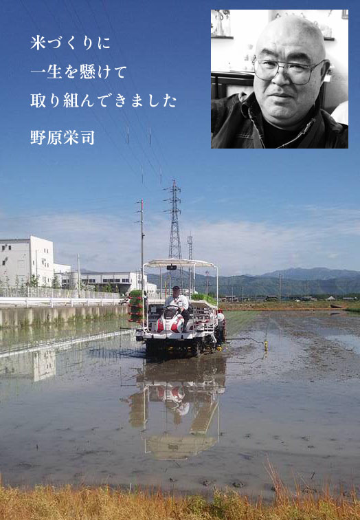 noharasan-syoukai.jpg