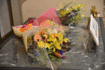 071004purezenn.gif
