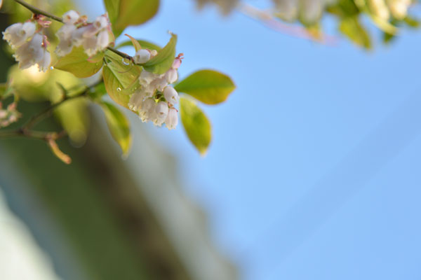 050408beri-.jpg