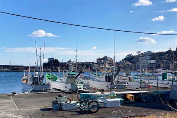 070110inatori.jpg