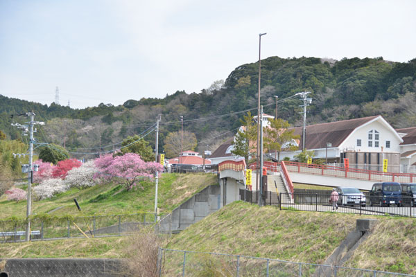 070401kakegawa.jpg