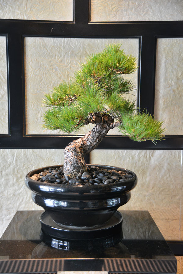 070527sai.jpg